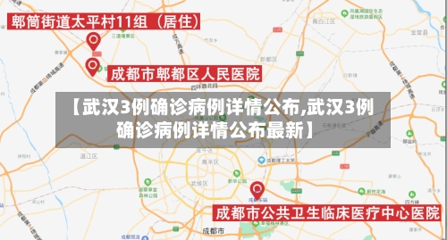 【武汉3例确诊病例详情公布,武汉3例确诊病例详情公布最新】