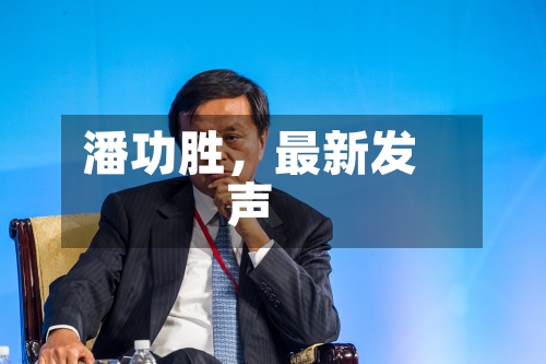 潘功胜，最新发声-第2张图片