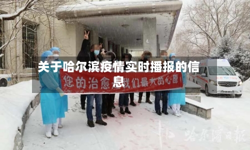 关于哈尔滨疫情实时播报的信息