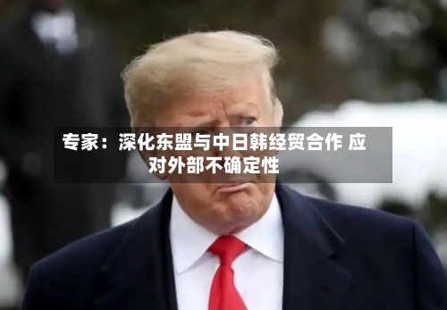 专家：深化东盟与中日韩经贸合作 应对外部不确定性