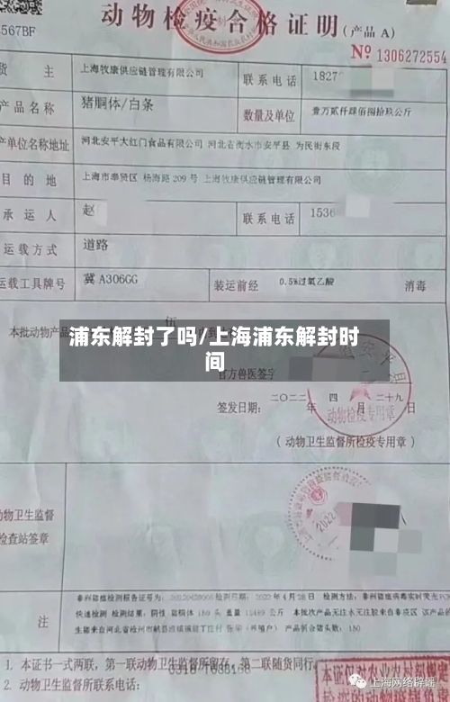 浦东解封了吗/上海浦东解封时间-第2张图片