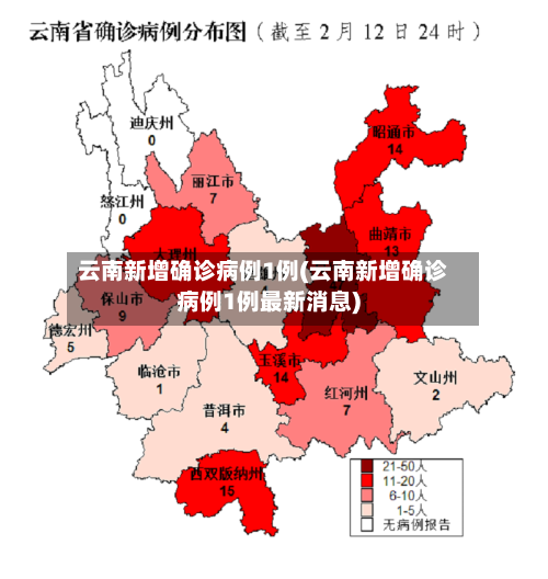 云南新增确诊病例1例(云南新增确诊病例1例最新消息)-第3张图片