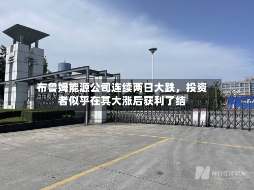 布鲁姆能源公司连续两日大跌，投资者似乎在其大涨后获利了结
