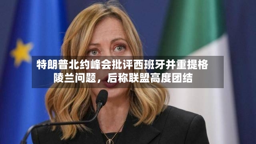 特朗普北约峰会批评西班牙并重提格陵兰问题，后称联盟高度团结-第2张图片