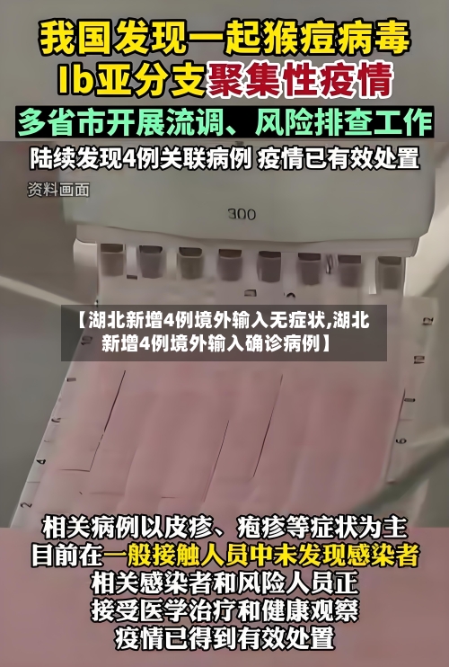 【湖北新增4例境外输入无症状,湖北新增4例境外输入确诊病例】-第2张图片