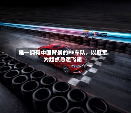 唯一拥有中国背景的FE车队	，以冠军为起点急速飞驰-第2张图片