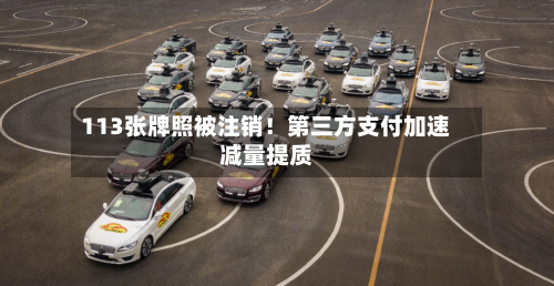 113张牌照被注销!第三方支付加速减量提质-第2张图片