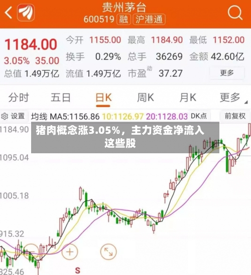 猪肉概念涨3.05%，主力资金净流入这些股-第2张图片