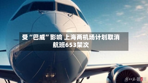 受“巴威”影响 上海两机场计划取消航班653架次-第2张图片