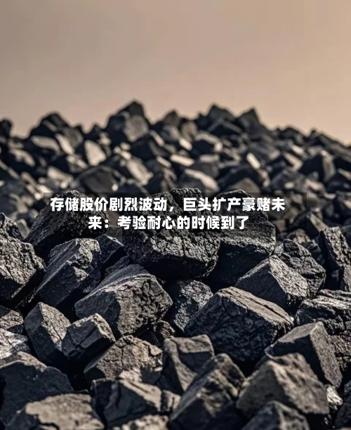 存储股价剧烈波动	，巨头扩产豪赌未来：考验耐心的时候到了-第2张图片