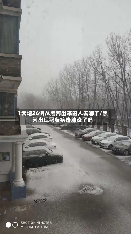 1天增26例从黑河出来的人去哪了/黑河出现冠状病毒肺炎了吗-第2张图片