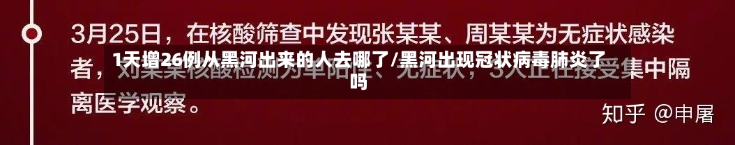 1天增26例从黑河出来的人去哪了/黑河出现冠状病毒肺炎了吗-第3张图片