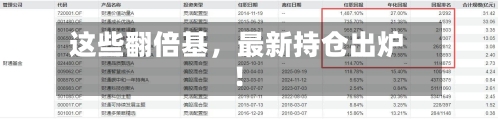 这些翻倍基，最新持仓出炉！
