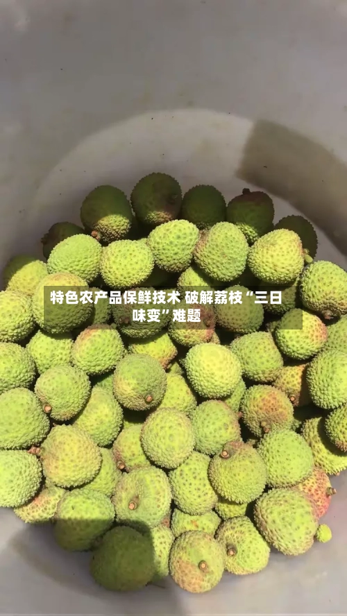 特色农产品保鲜技术 破解荔枝“三日味变”难题-第3张图片