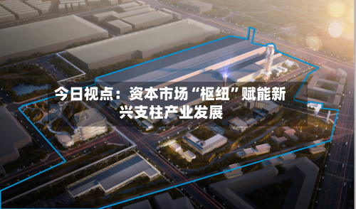 今日视点：资本市场“枢纽”赋能新兴支柱产业发展