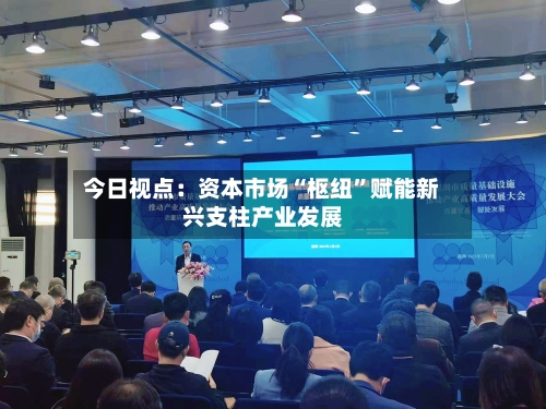 今日视点：资本市场“枢纽”赋能新兴支柱产业发展-第2张图片