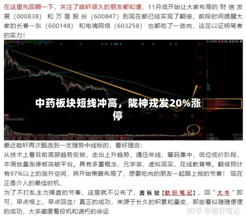 中药板块短线冲高	，陇神戎发20%涨停-第2张图片