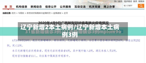 辽宁新增2本土病例/辽宁新增本土病例3例-第2张图片
