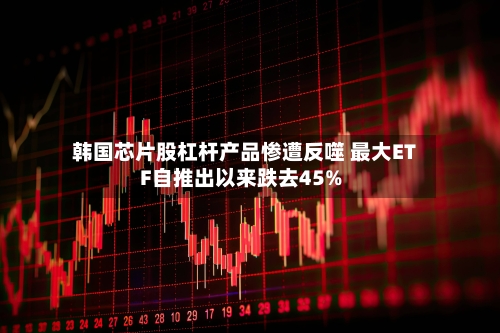 韩国芯片股杠杆产品惨遭反噬 最大ETF自推出以来跌去45%-第2张图片
