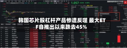 韩国芯片股杠杆产品惨遭反噬 最大ETF自推出以来跌去45%-第3张图片