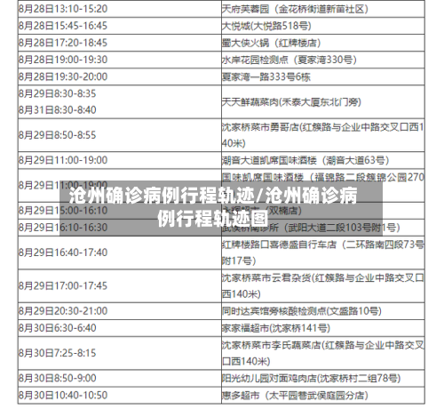沧州确诊病例行程轨迹/沧州确诊病例行程轨迹图-第2张图片