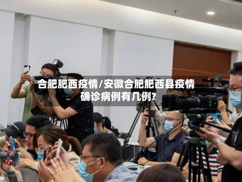合肥肥西疫情/安徽合肥肥西县疫情确诊病例有几例?
