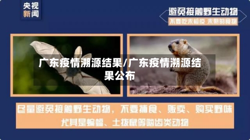 广东疫情溯源结果/广东疫情溯源结果公布-第2张图片