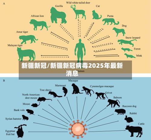 新疆新冠/新疆新冠病毒2025年最新消息-第2张图片