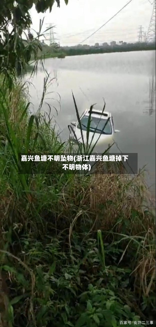 嘉兴鱼塘不明坠物(浙江嘉兴鱼塘掉下不明物体)-第2张图片