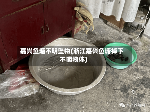 嘉兴鱼塘不明坠物(浙江嘉兴鱼塘掉下不明物体)