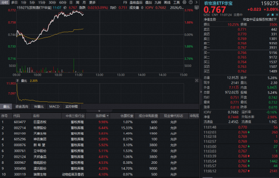 深V反转，华宝基金农牧渔ETF（159275）盘中暴拉涨超3%！猪周期拐点将至？