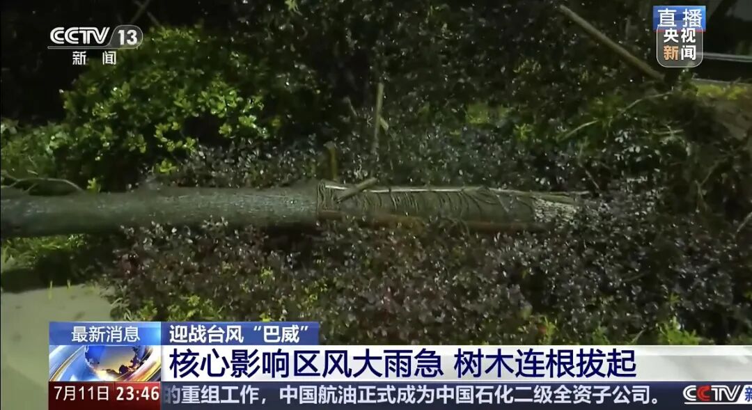 “巴威	”最新路径公布！0时在浙江乐清二次登陆，5时减弱为强热带风暴，中心最大风力11级